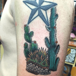 Cactus from tonight. Star not by me. #lonestartattoo 