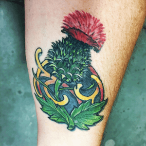 #ScottishThistle #thistle #thistletattoo done by my friend and personal #inkmaster Craig Foster #CraigFoster at Skinwerks Tattoo & Design #skinwerks in Carrollton, Georgia 