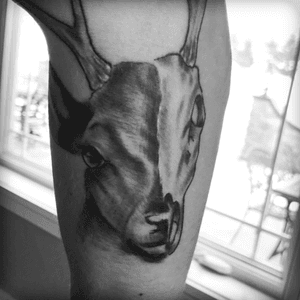 Life and death deer tattoo. Also because I love to hunt. 