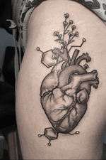 Anatomical heart/molecules/botanical/chemistry 