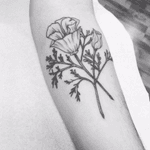 Poppys on the forearm #tattoos #flower #blckwork 