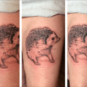Hedgehog portrait! 