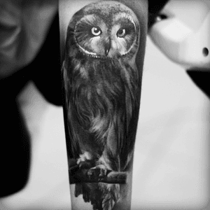 Pretty Owl #owl 