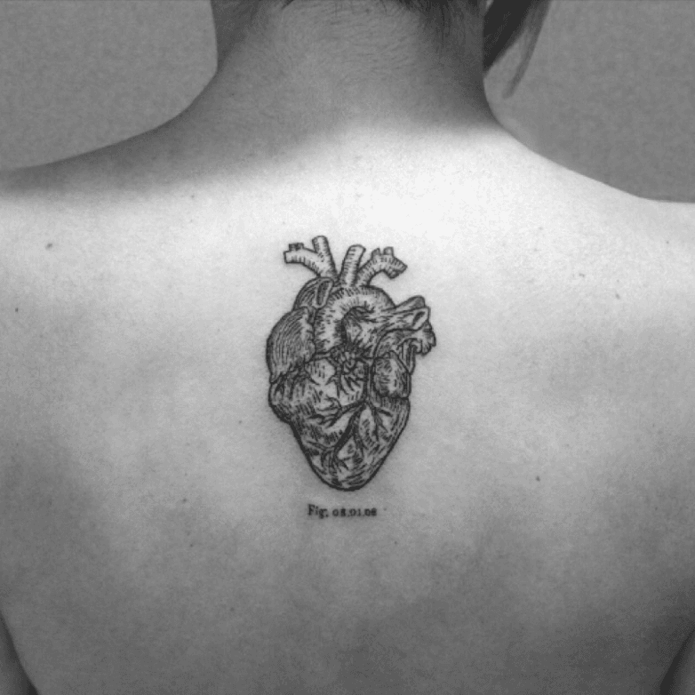 Large Anatomical Heart Temporary Tattoo  Zazzle