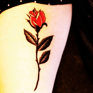 #redrose #rose #flower #foreverrose #love 