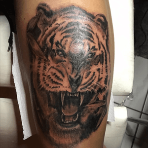 Tiger tattoo #silverbackink #hustlebutterdeluxe #blackandgrey #killerink 