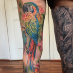 #macaw tattoo bt #lizvenom #bird #tropical #macaws #parot #realism #healed #bright #feminine #girly #women #beautiful #best #ink #inked #inkedgirls #legsleeve #sleeve #tropics #colour #color 