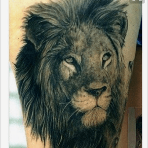#dreamtattoo : artist unknown #lion #lionhead #blackandgrey #megandreamtattoo 