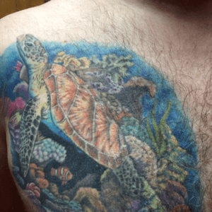 Sea turtle with coral and a few fish, 12 hours total. Inspired by our trip to the Camen islands and the time we spent at the sea turtle sancturay .