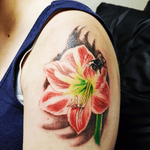 So i got this one last month, its an amaryllis with a bumblebee and is as of yet imcomplete, having a touch up and finish on the 15th this month ^_^ 