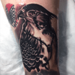 #falcon #falcon #falcontattoo #blackandgrey #blackandgreytattoo #tattoo #tattoos #realism #inked 