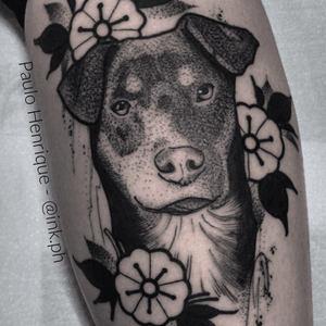 Black Dog 🐶🌚 #blackwork #tattoo #tattoos #tatuagem #blackworkers #dog #dogtattoo #flowers #traditional #realism #portrait #darkart #dotwork #linework #boldline #neotraditional