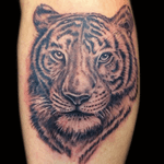 Tattoo by Lark Tattoo artist/owner Bruce Kaplan. #bng #bngink #bnginksociety #animal #animalportrait #tiger #bigcats #realistic #brucekaplan #owner #artist #ownerartist #artistowner #LarkTattoo #LarkTattooWestbury #NY #BestOfLongIsland #VotedBestOfLongIsland #BestOfNYC #VotedBestOfNYC #VotedNumber1 #LongIsland #LongIslandNY #NewYork #NYC #TattoosEvenMomWouldLove #NassauCounty #tattoo #tattoos #tat #tats #tatts #tatted #tattedup #tattoist #tattooed #tattoooftheday #inked #inkedup #ink #tattoooftheday #amazingink #bodyart