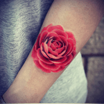 #JoiceWang #flowers #rose #peony 