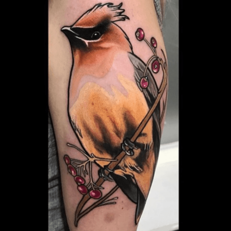kirsten makes tattoos  Healed Japanese waxwings and a fresh lil bb
