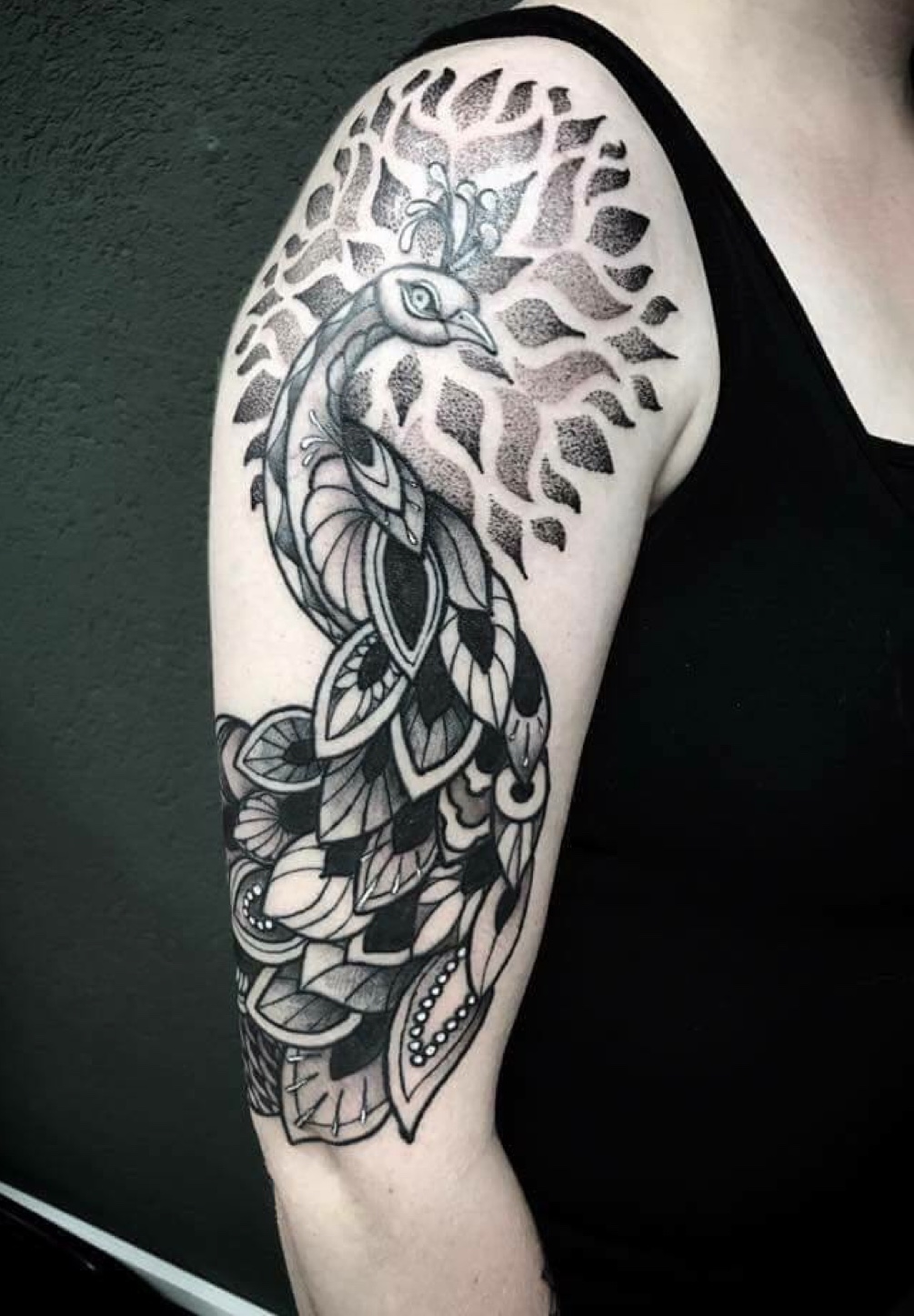 peacock tattoo blackwork｜TikTok Search