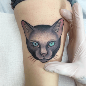 #neotraditional #cattoo I tattooed on Rachel! Thanks! #cat #cattattoo #neotrad #smallbutmighty #smalltattoo #welove #BlayneBius 