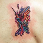 In ❤️ with my new adquisition! #phoenix #hummingbird #watercolor #bird #coverup 