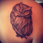 #dreamtattoo I've always wanted an owl and so on my birthday, i treated myself. She is my night protector. @tattoodo @amijames 
