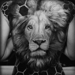 #lion #fullback #geometric #honeycomb 