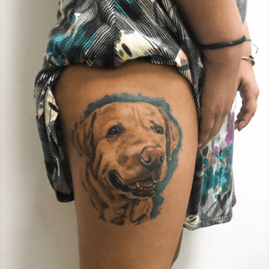 Dog. Scarred. Tattoo. Love pet
