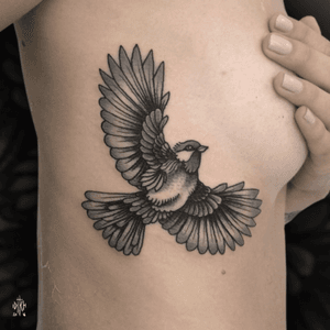 iditch@hotmail.fr #iditch #tattoo #mojitotattoo #toulouse #traditionaltattoo #bird #ribs 
