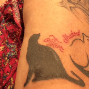 This is the last one. We also did touch ups on the cats. They had a few bad spots. Very happy with my kitties tattoo.