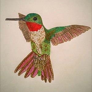#hummingbirdtattoo 