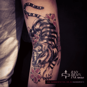 #oriental #japanesetattoo #traditional #tiger #blackandgreytattoo #badbrainink #saopaulo #tattooBR #ink #inked