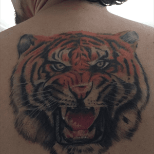 Tiger stomper tattoo