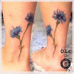 #ola #badmojotattoo #blue #cornflower #longstem #hope #mnd #welove #flower