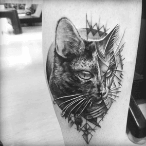Tattoo by Floyd Varesi #floydvaresi #varrystattoo #tattoo #inkartist #ink #darkskull #swiss #sissach #tattoooftheday #tattoodo #skinartmag #tattooart #surrealismart #swissinkinsta #tattooneeds #cheyennetattooequipment #inkbooster #alphatattooink #blackandgrey #darkartists #tattooartist #cat #halfmandala 