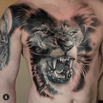 #lion #chestpiece 