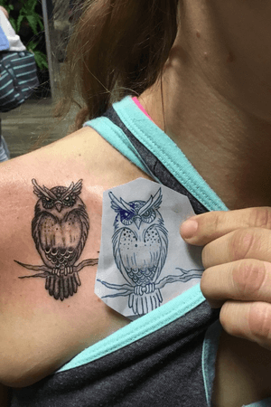 Owl by Nellie