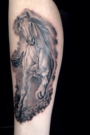 #blackandgrey #blackandgreytattoo #horse #tattooartist #blackandgreyrealism 