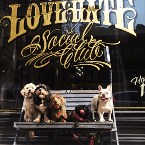 Happy Crew at Love Hate Social Club NYC. We love your pets! #lovehatesocialclub #lovehatenewyork #lovehatetattoos #dogs #newyork 