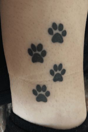 Dog paw prints