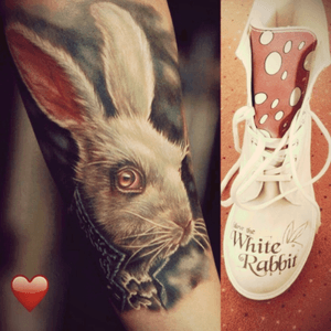 Please❗️one of your tattoos for each pair of my shoes 🙀😍❤️👌🏻 #run #follow #your #white #rabbit #tattoodo #love