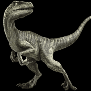 I want a tattoo of a velociraptor running so badly! #dreamtattoo 