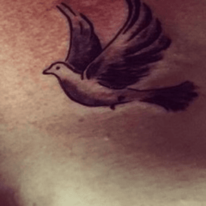 The second dove