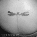 Libelula #patriciamarars #patriciamara #tatuagem #insecttattoo #dragonflies 