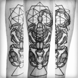 Scorpion by Kaptain Cade#scorpion #dotwork #geomertic 