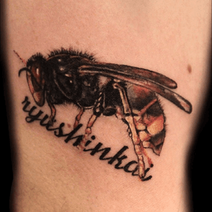 ⚡️hornet ⚡️ - et toi, #tuveuxdutattoo ?- #tattoo #tatouage #tatouage #tatouages #ink #art #lunderskin #lamaisonclosetatouage #paris #frelon #hornet #hornetttattoo #insect #insecte #bee #guepe #abeille #honey #hurt #strength #force #volonte #manga #ryu #streetfighter #inked #inkedboy