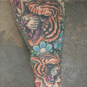 Tattoo by Tim Hendricks #tiger #tradional #bold #tigertattoo 