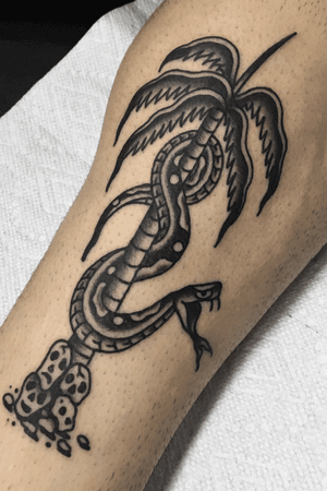 #snake #palmtree #traditional #tattoooftheday #blackandgrey 