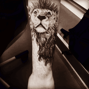 #lion_tattoo #lion #forearm 