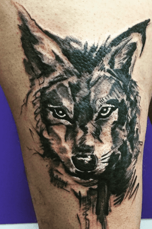 Wolf sketch