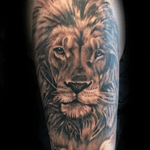 #tattoo #tattoos #upperarmtattoo #liontattoo #blackandgreytattoo #kingofthejungle #lion #lionhead 