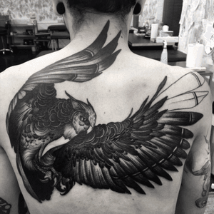 Almost finished. #bird #blackbird 