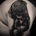 Tattoo by Lance Levine. See more of Lance’s work here: https://www.larktattoo.com/long-island-team-homepage/lance-levine/ #realistictattoo #bng #blackandgraytattoo #blackandgreytattoo #realism #tattoo #tattoos #tat #tats #tatts #tatted #tattedup #tattoist #tattooed #tattoooftheday #inked #inkedup #ink #amazingink #bodyart #tattooig #tattoosofinstagram #instatats #larktattoo #larktattoos #larktattoowestbury #westbury #longisland #NY #NewYork #usa #art #dog #dogtattoo #pet #pettattoo #animal #animaltattoos #animaltattoo